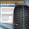 Royal Black Royal Snow 155/65R14 75T