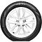 Formula Ice Friction 195/55R16 91T